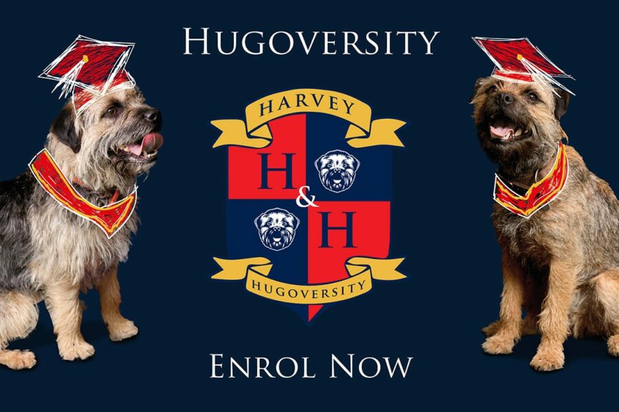 Back to school with Hugoversity