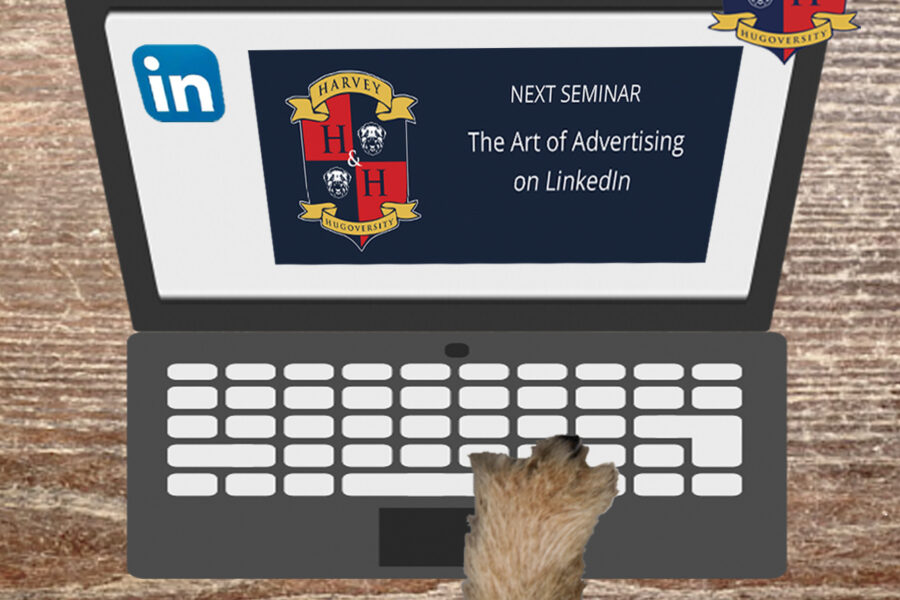 The Art of LinkedIn Advertising